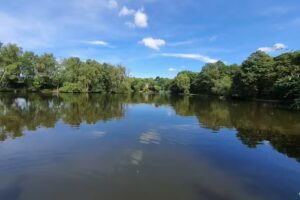 L Lake Carp Fisheries