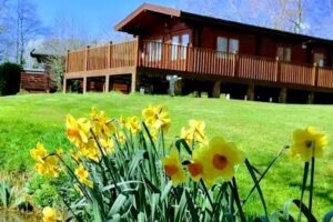 Lake Farm Country & Fishing Holidays