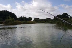 Lawn Farm Fishery