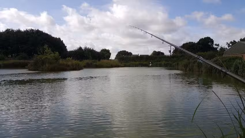 Lawn Farm Fishery