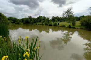 Lee Chapel Fishing Lake