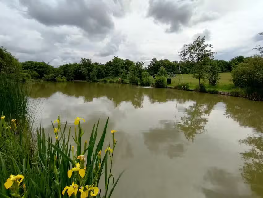 Lee Chapel Fishing Lake