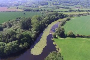 Letton Court Fisher​y