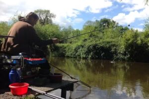 Lloyds Meadow Fishery