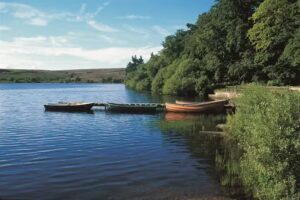 Lockwood Beck Coarse Fishery