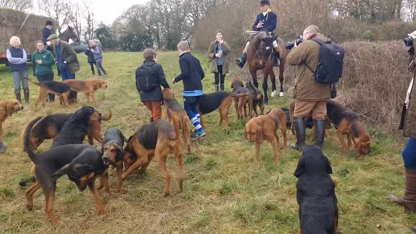 Lopshill Farm & Carp Fishing Syndicate