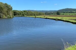 Low Osgoodby Lake Fly Fishing