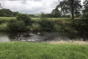 Lower Dutson Farm Caravan and Motorhome Club CL Site