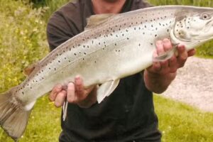 Lower Itchen Fishery