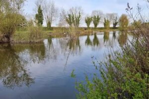 Lower Ridge Farm and Fisheries