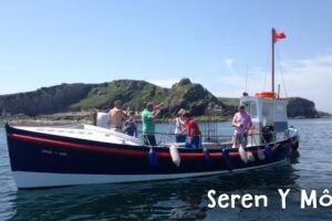 Mackerel & Bait Fishing Tenby
