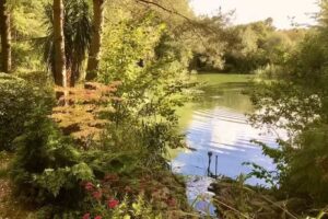 Manor House Farm Lake