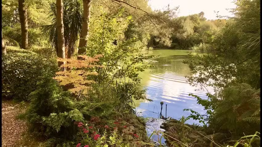 Manor House Farm Lake