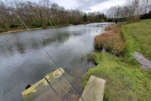 Marton Heath Trout Pools