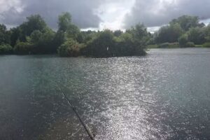 Meadow Fishery