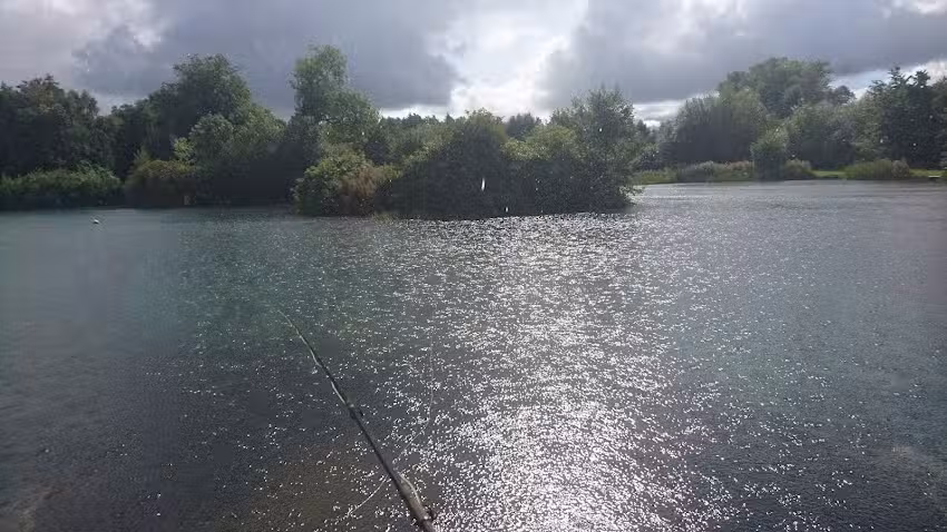 Meadow Fishery