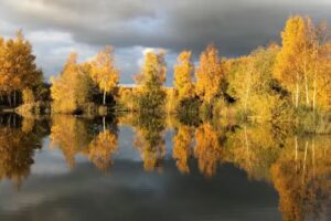 Messingham Sands Fishery