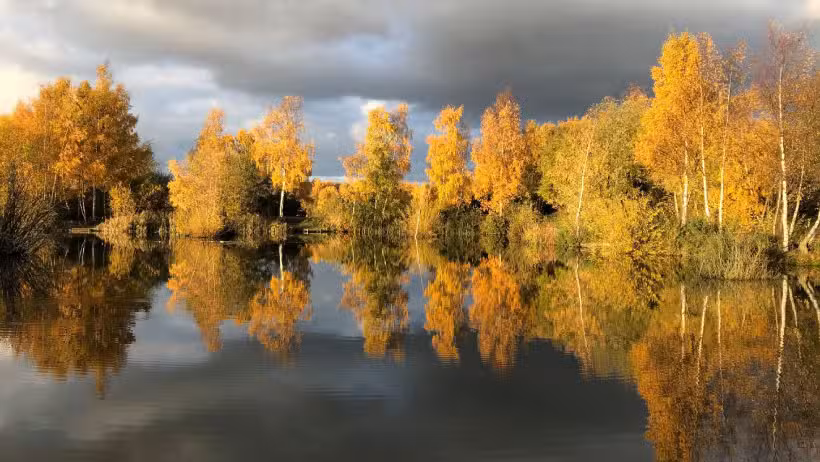 Messingham Sands Fishery