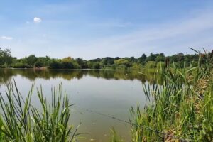 Midland Game Fisheries