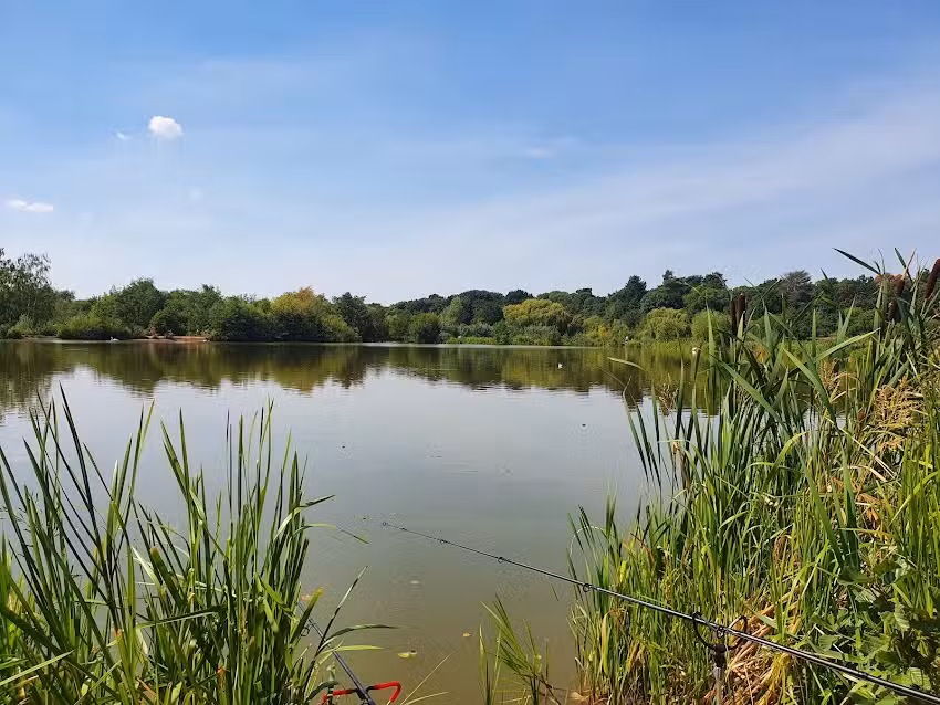 Midland Game Fisheries