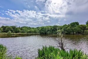Milking brook fishing pools