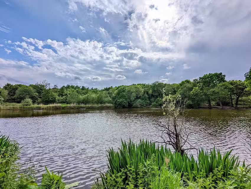 Milking brook fishing pools