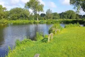 Mill Farm Trout Lakes