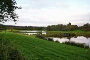 Mill of Kellas Trout Fishery