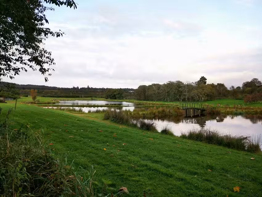 Mill of Kellas Trout Fishery