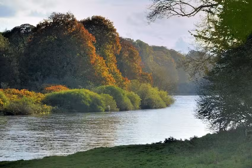 Milne Graden Fishing