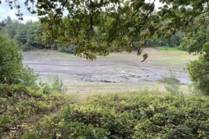 Morehall Fly Fishing Club