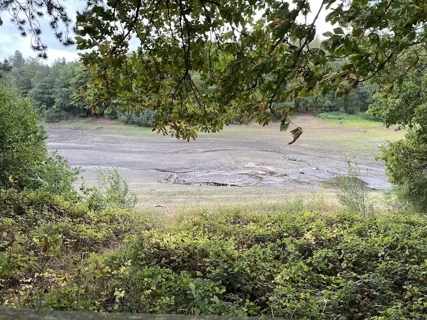 Morehall Fly Fishing Club