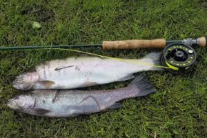 Mossat Trout Fishery