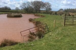 Mucklestone Fisheries