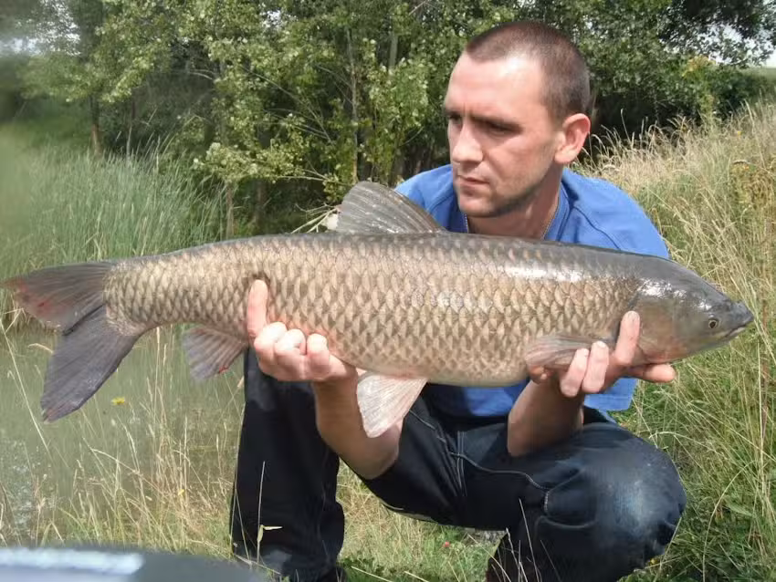 Napton Fishing Pools