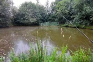 New Whartons Farm & Fishery
