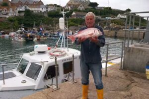 Newquay Harbour Fishing
