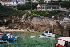 Newquay Sea Safaris & Fishing