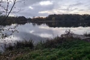 Norfolk Fishing at Billingford Fishing Lakes