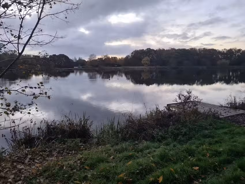 Norfolk Fishing at Billingford Fishing Lakes