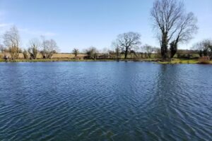 Norfolk & Suffolk Fly Fishers’ Society