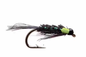 North Atlantic Fishing (NI)