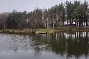 North Yorkshire Water Park Fisheries