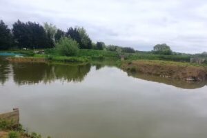 Northfield Fisheries Tackle and Bait