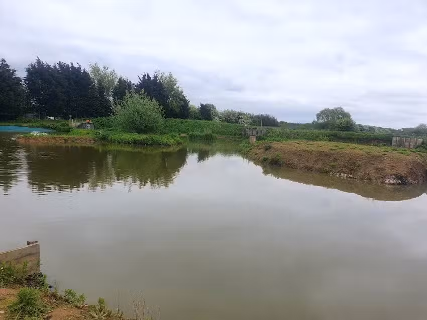 Northfield Fisheries Tackle and Bait