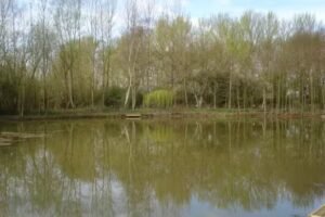 Norton fishing lakes