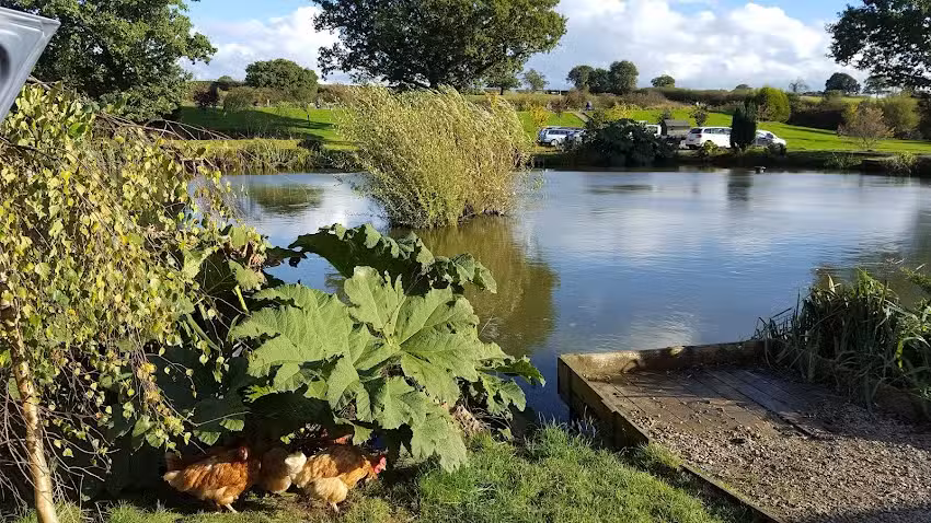Oak Tree Lakes Fishery