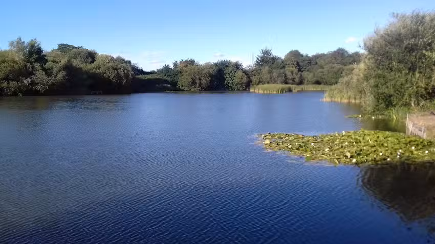Oaklakes Fisheries Dayticket, Match Lake, Predator Lake, Members Lake
