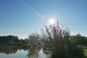 Ockendon Bait & Tackle