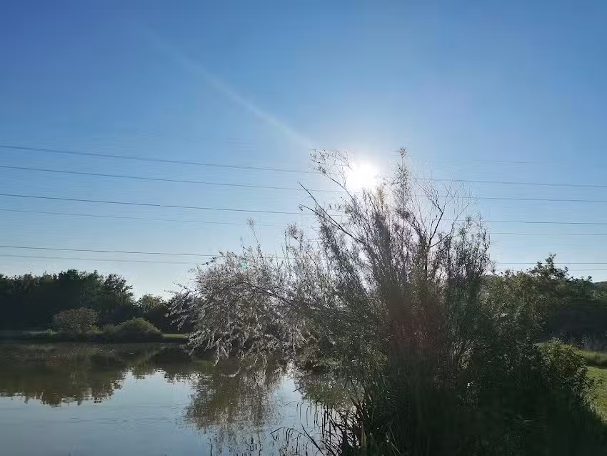 Ockendon Bait & Tackle